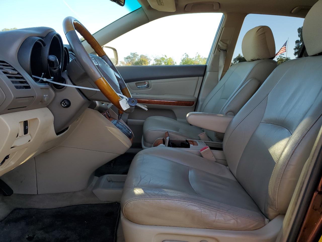 2009 Lexus Rx 350 VIN: JTJGK31U890015593 Lot: 85599115