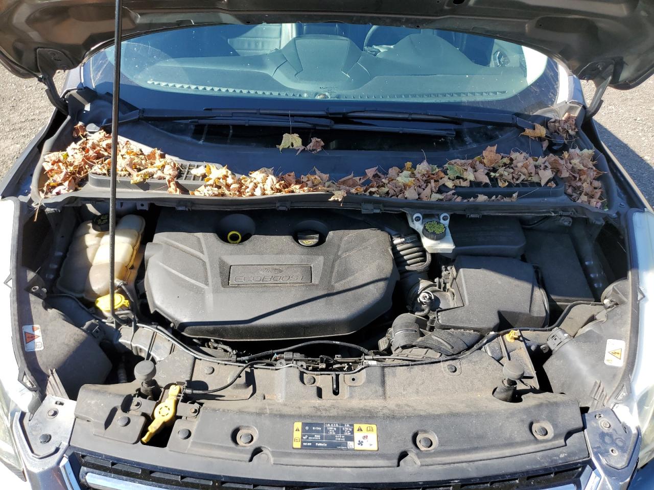 2014 Ford Escape Titanium VIN: 1FMCU9J9XEUE53721 Lot: 85355995