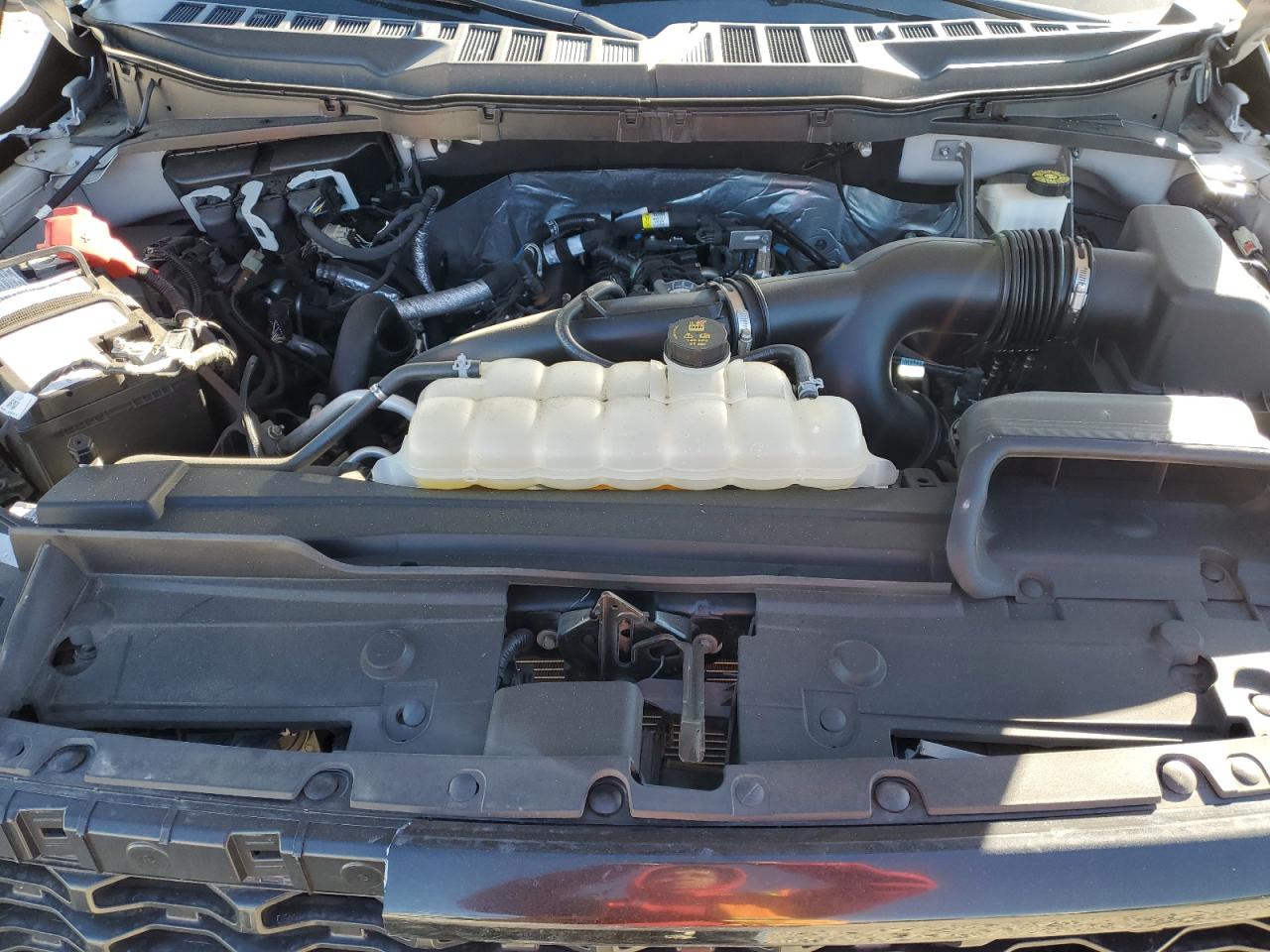 2023 Ford F150 Super Cab VIN: 1FTEX1CP8PKE86362 Lot: 86666625