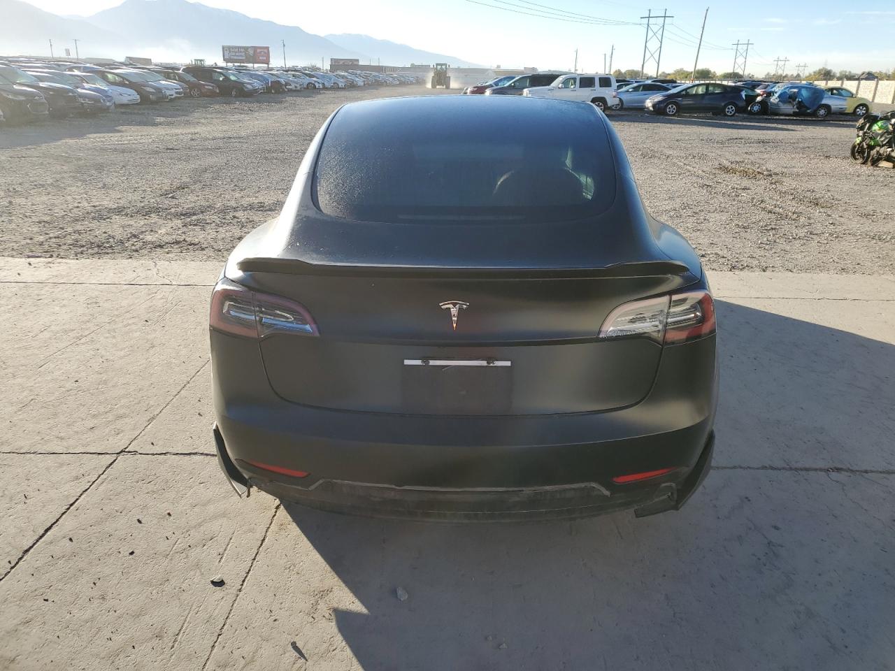 2020 Tesla Model 3 VIN: 5YJ3E1EA8LF746174 Lot: 86871035