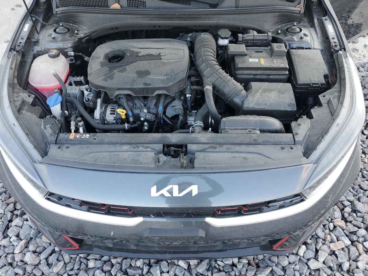 2023 Kia Forte Gt VIN: 3KPF44AC4PE517026 Lot: 82084005