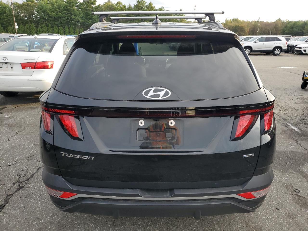 2024 Hyundai Tucson Sel VIN: 5NMJBCDE7RH309614 Lot: 85150555