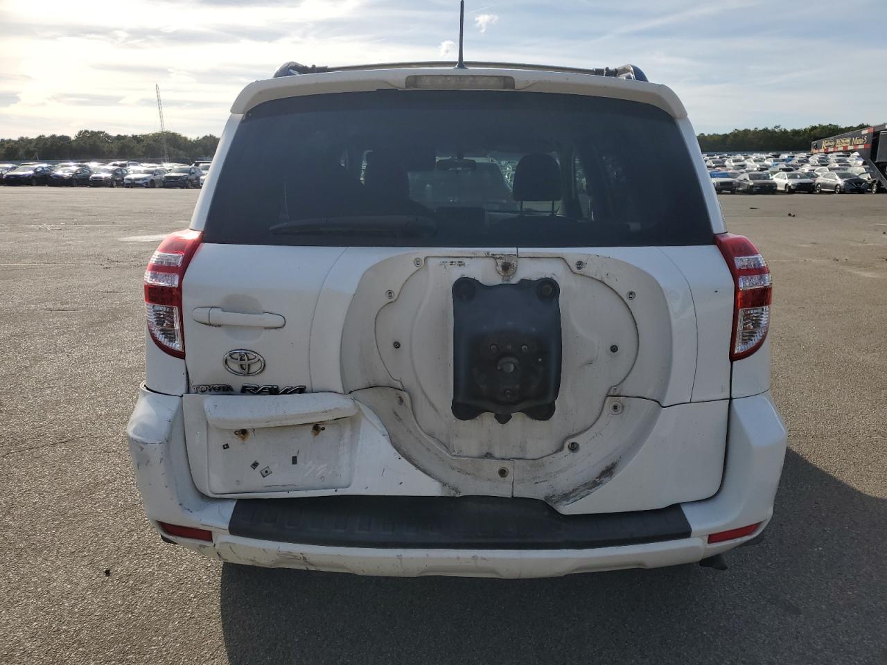 2009 Toyota Rav4 VIN: JTMZF33V09D003548 Lot: 84813115