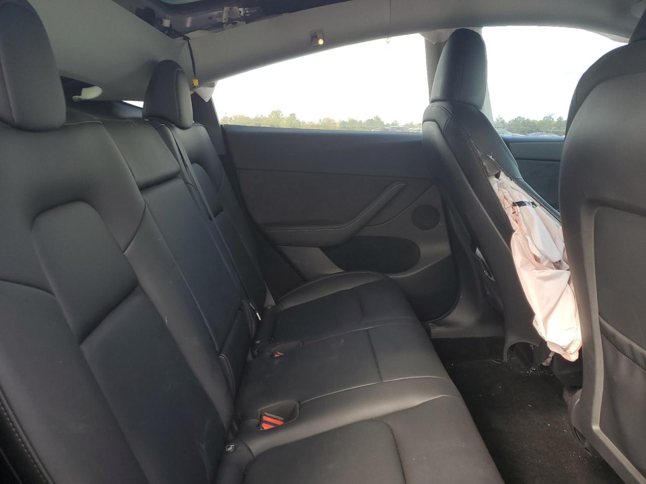 2023 Tesla Model Y VIN: 7SAYGDEE0PF842135 Lot: 84906025