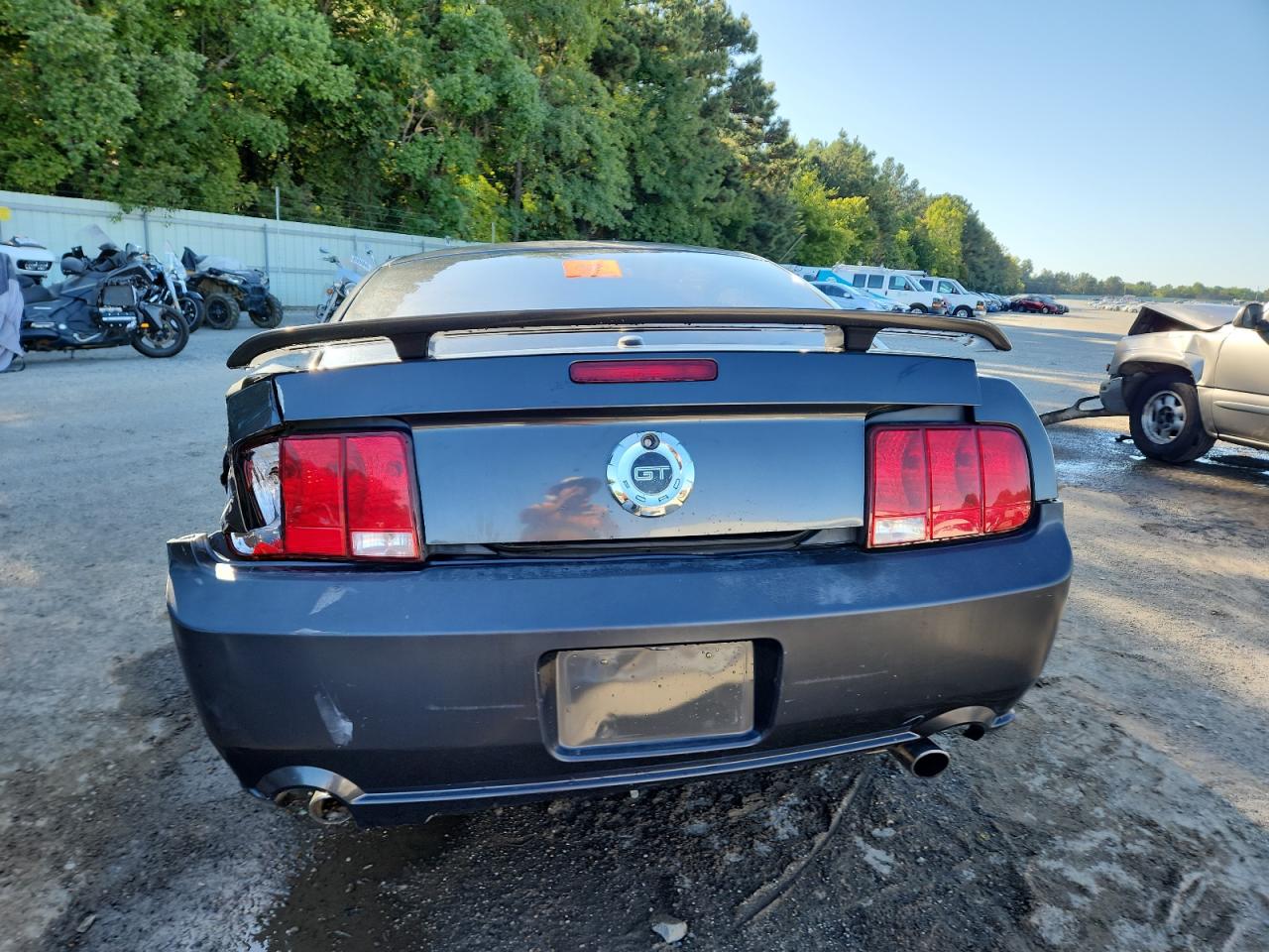 2009 Ford Mustang Gt VIN: 1ZVHT82H495133224 Lot: 86311615