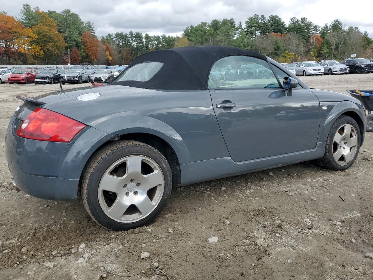 Фото: TRUUT28N211008364