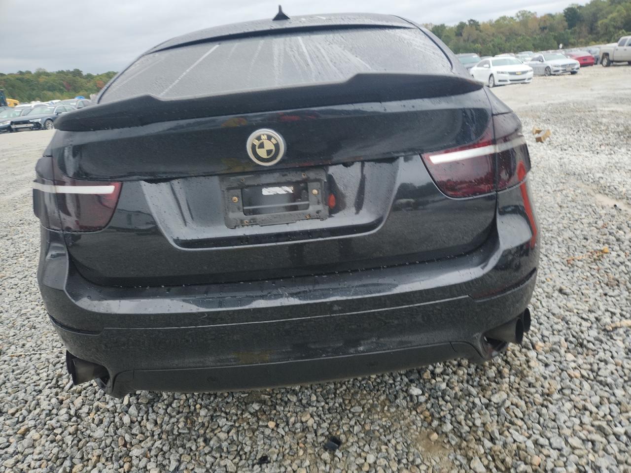 2011 BMW X6 xDrive50I VIN: 5UXFG8C51BLZ96016 Lot: 90475455