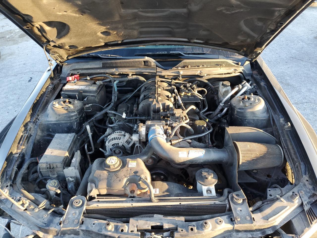 2009 Ford Mustang VIN: 1ZVHT80NX95101774 Lot: 85192005