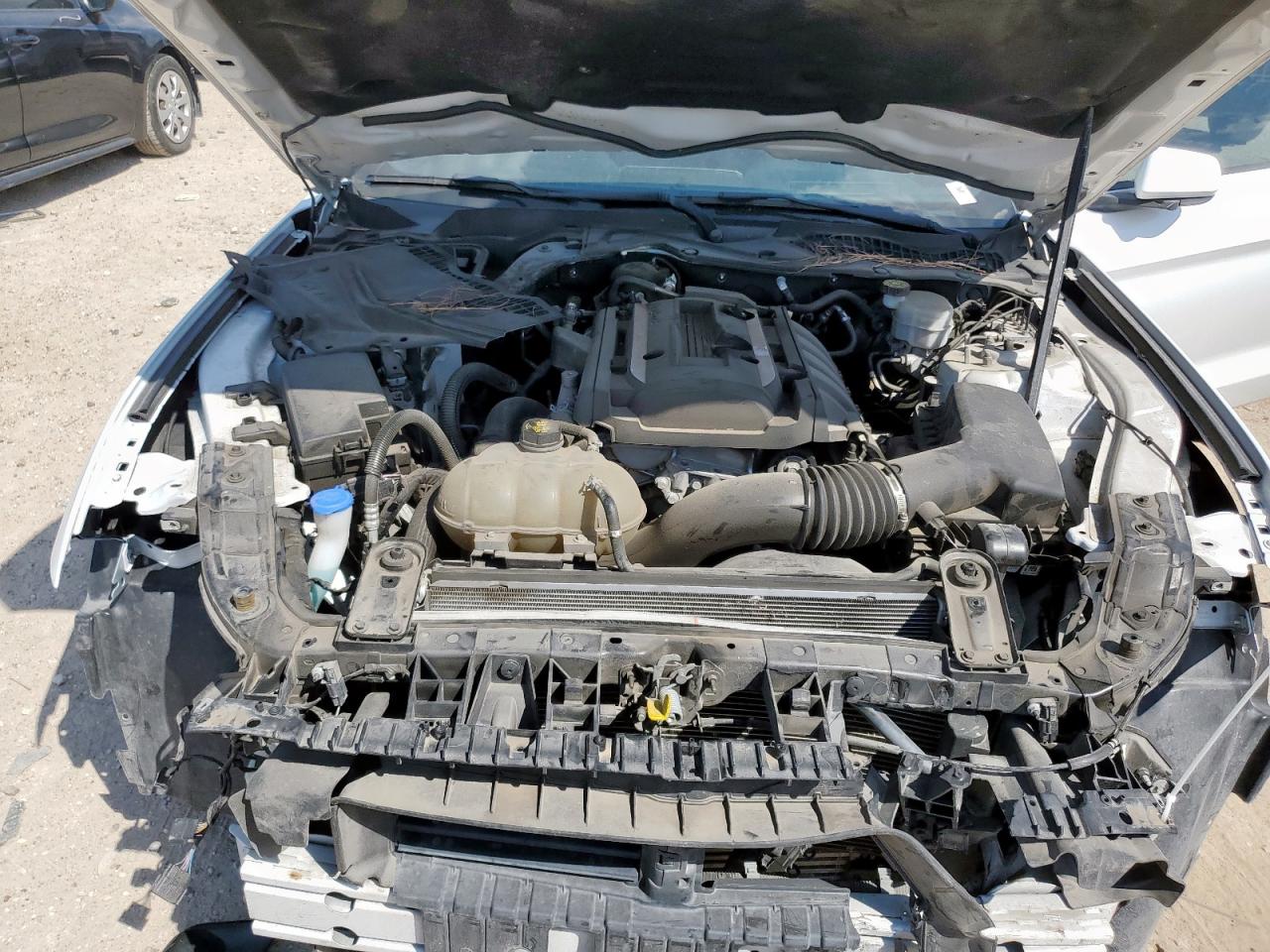 2020 Ford Mustang VIN: 1FA6P8TH8L5176345 Lot: 84782565