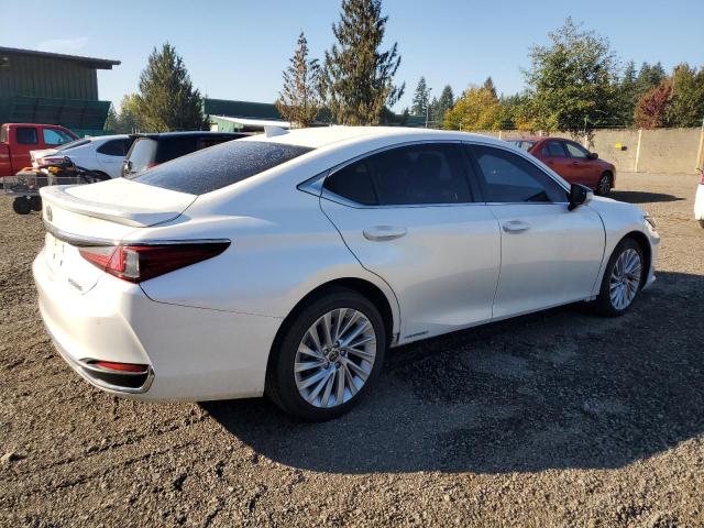  LEXUS ES300 2019 Белы
