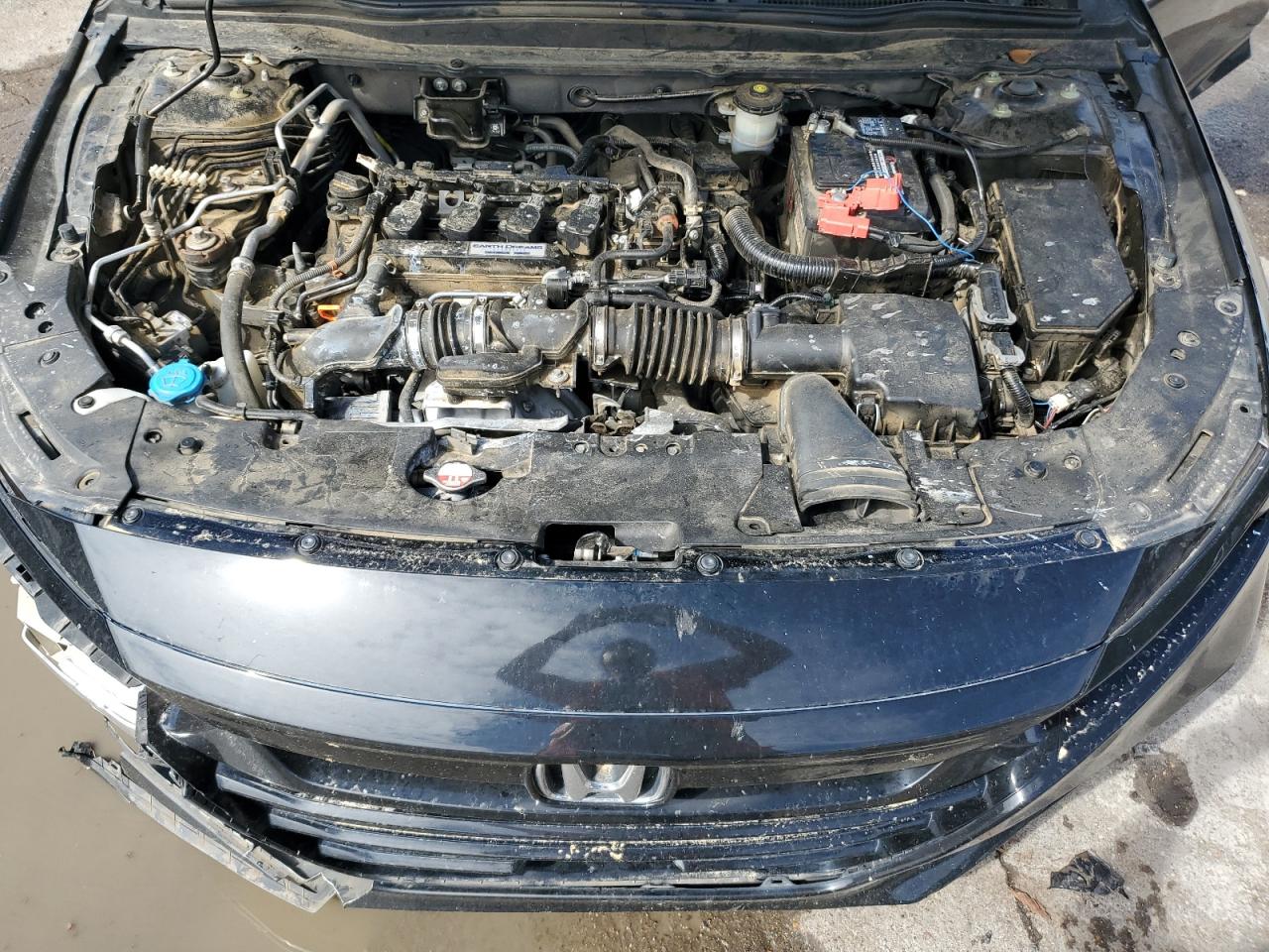 2019 Honda Accord Lx VIN: 1HGCV1F11KA019269 Lot: 85371545