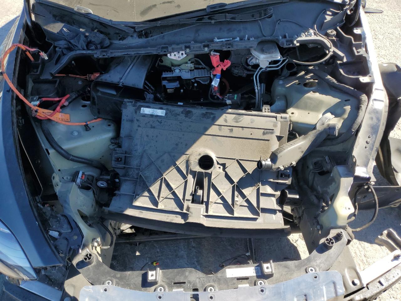 2024 Tesla Model Y VIN: 7SAYGDEE2RA234455 Lot: 90511515