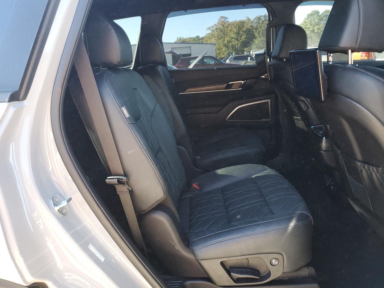 2025 Kia Telluride Ex VIN: 5XYP3DGCXSG589696 Lot: 85303025