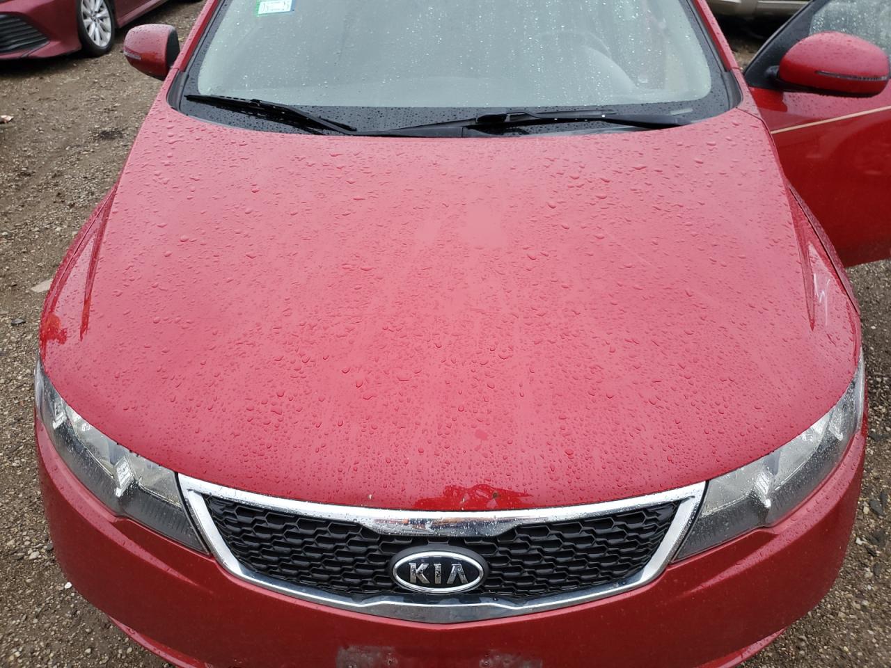 2013 Kia Forte Sx VIN: KNAFW4A37D5686519 Lot: 81808685