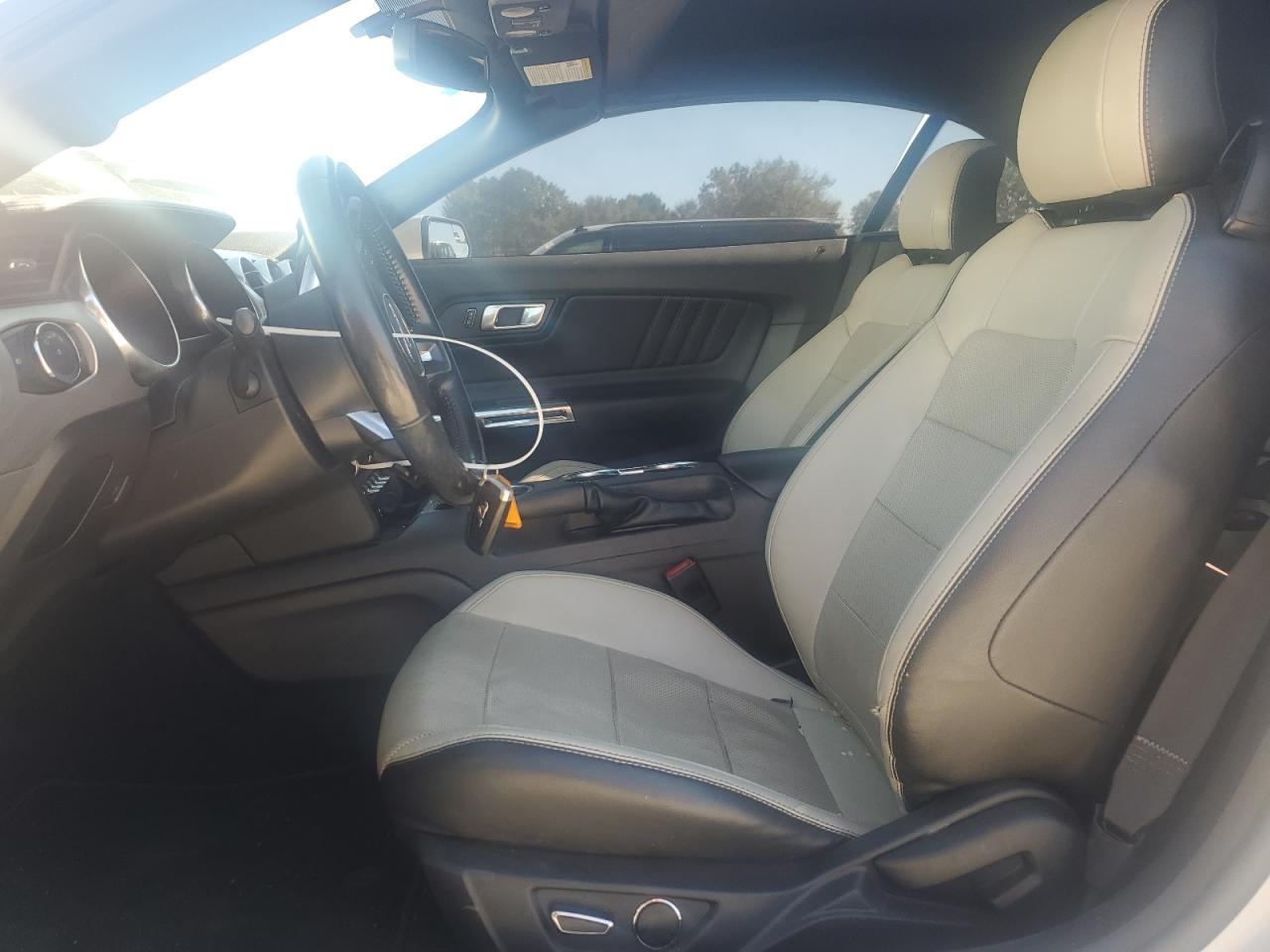 2019 Ford Mustang VIN: 1FATP8UH9K5181831 Lot: 84586165