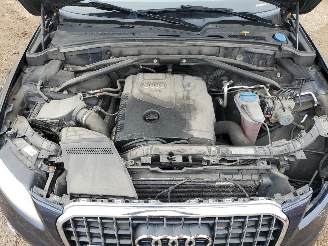 2013 Audi Q5 Premium Plus VIN: WA1LFAFP0DA046363 Lot: 81792145