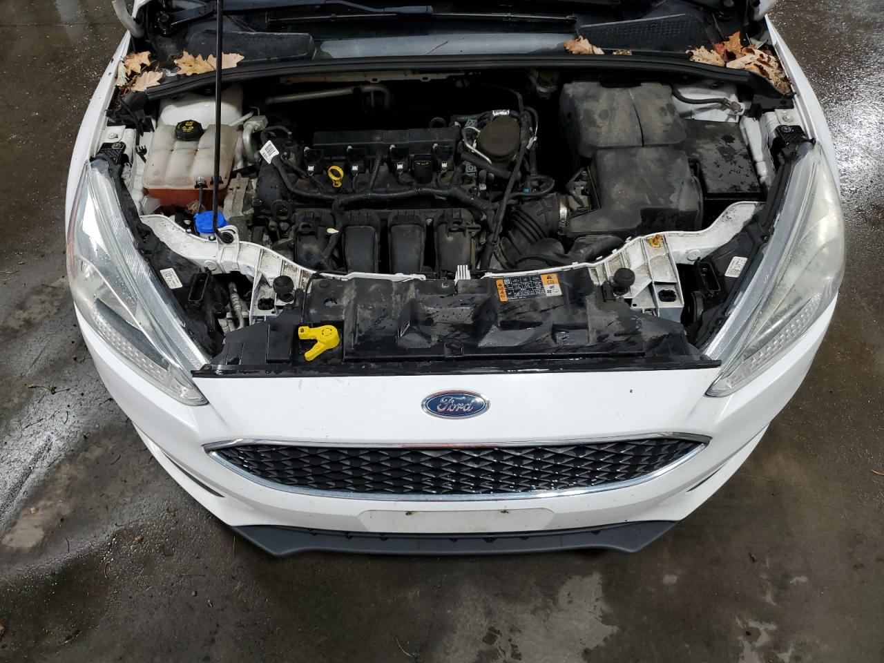 2015 Ford Focus Se VIN: 1FADP3F21FL249783 Lot: 85538015