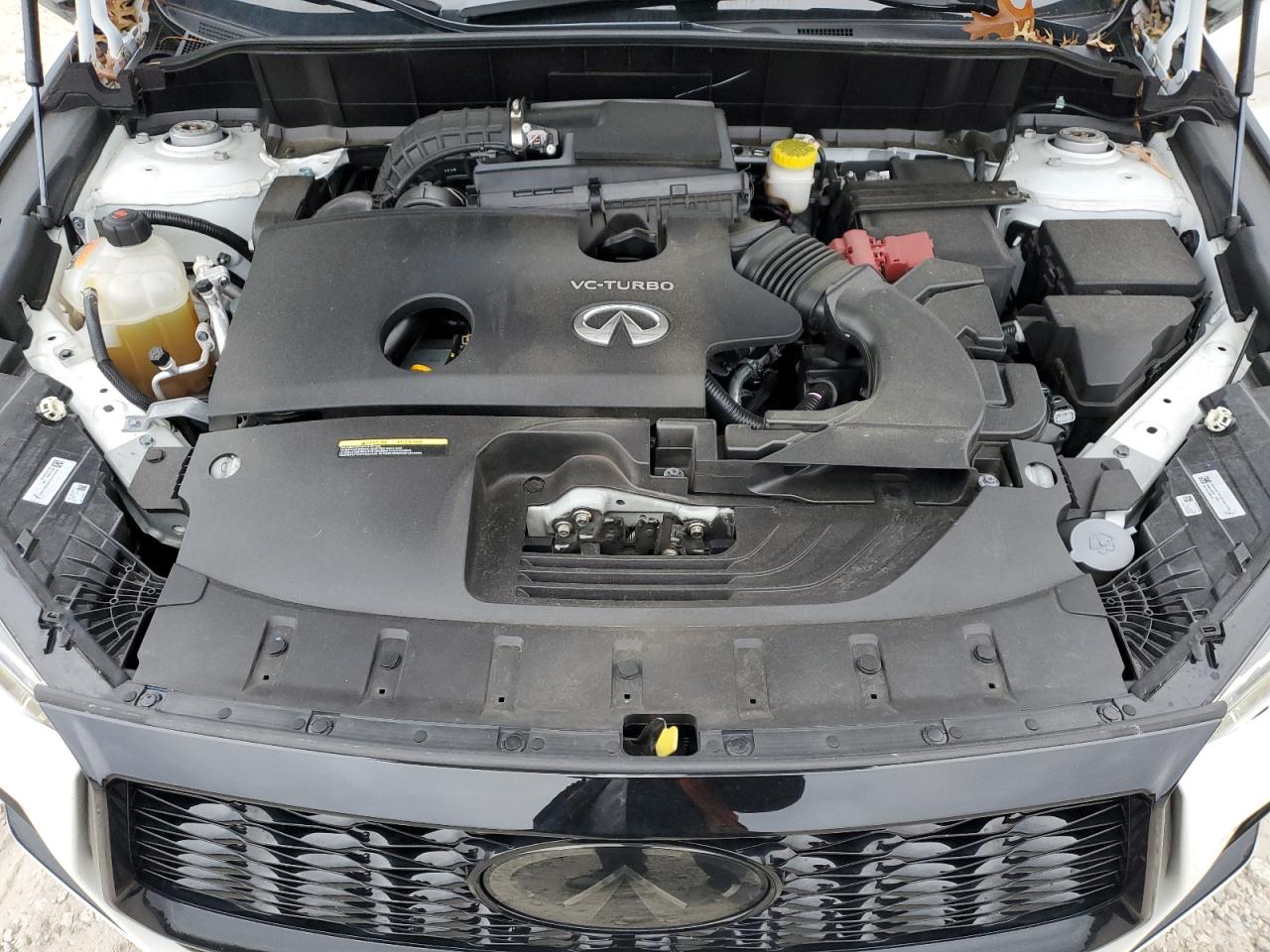 2023 Infiniti Qx50 Sport VIN: 3PCAJ5FB3PF116117 Lot: 90037245