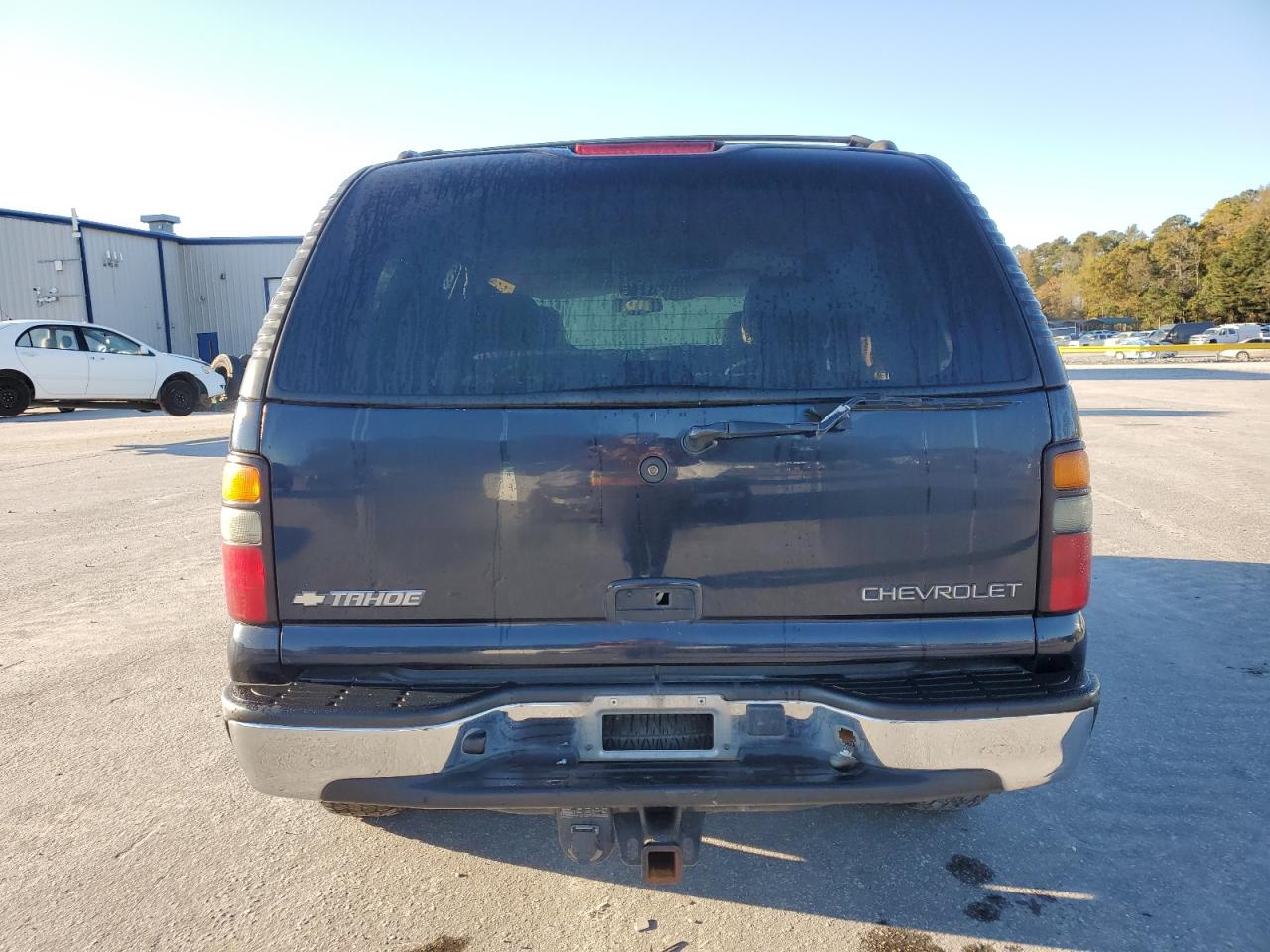 2004 Chevrolet Tahoe K1500 VIN: 1GNEK13Z64J307938 Lot: 90448295