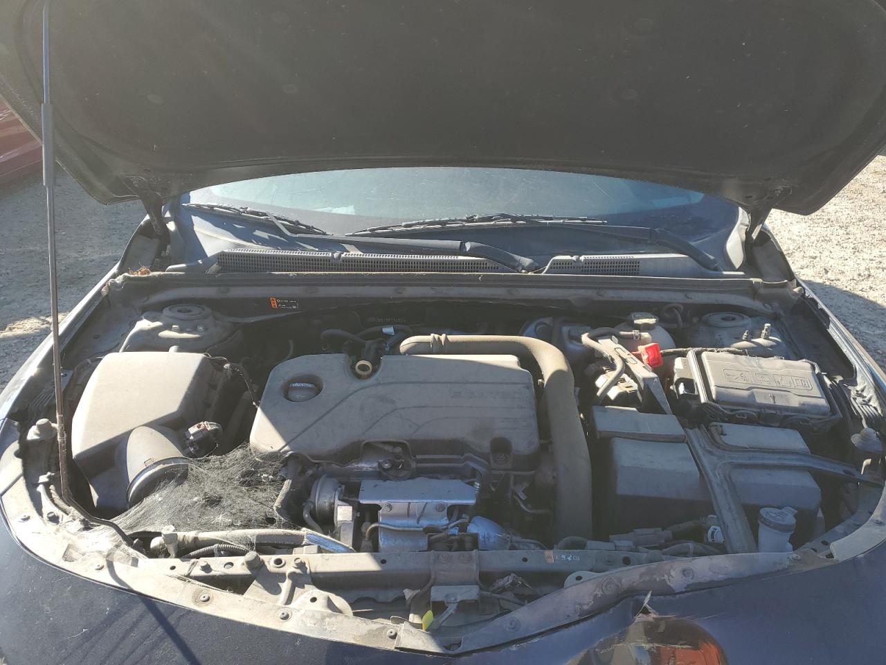 2019 Chevrolet Malibu Lt VIN: 1G1ZD5STXKF116007 Lot: 86893755