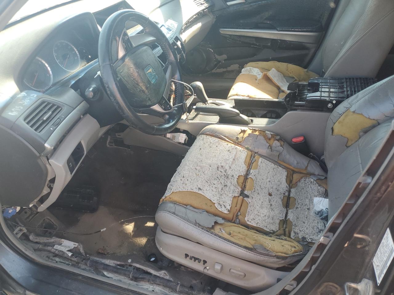 2008 Honda Accord Exl VIN: 1HGCP268X8A025206 Lot: 86184255