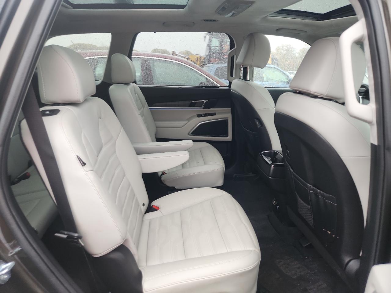 2024 Kia Telluride Sx VIN: 5XYP5DGC0RG556694 Lot: 90318485