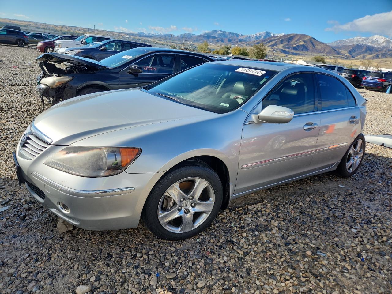 2005 ACURA RL SILVER VIN: JH4KB16545C018016
