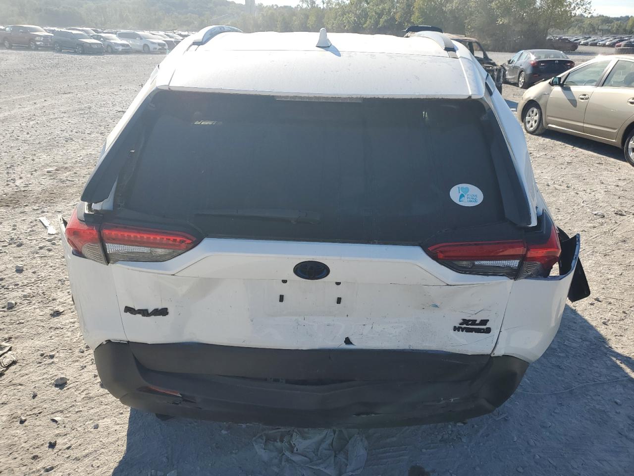 2023 Toyota Rav4 Xle VIN: 4T3RWRFV2PU100135 Lot: 85158075