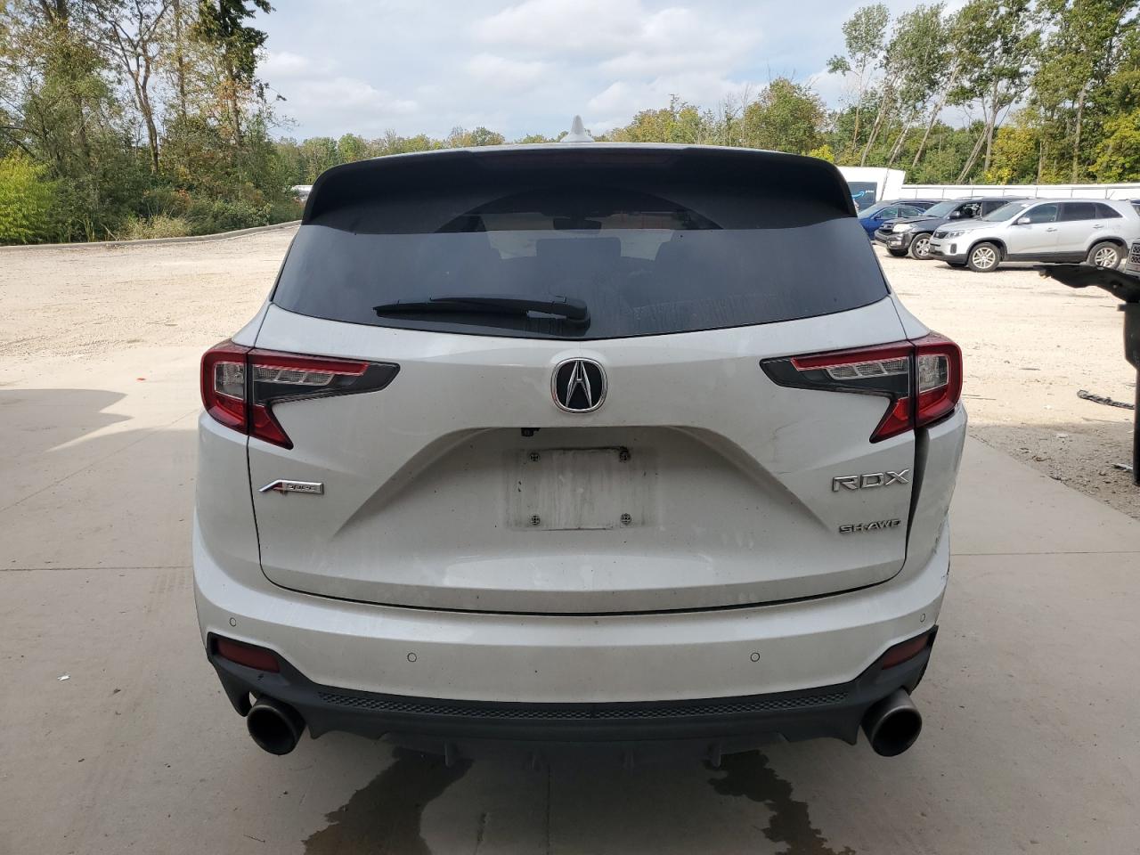 2023 Acura Rdx A-Spec Advance VIN: 5J8TC2H80PL009415 Lot: 84699735