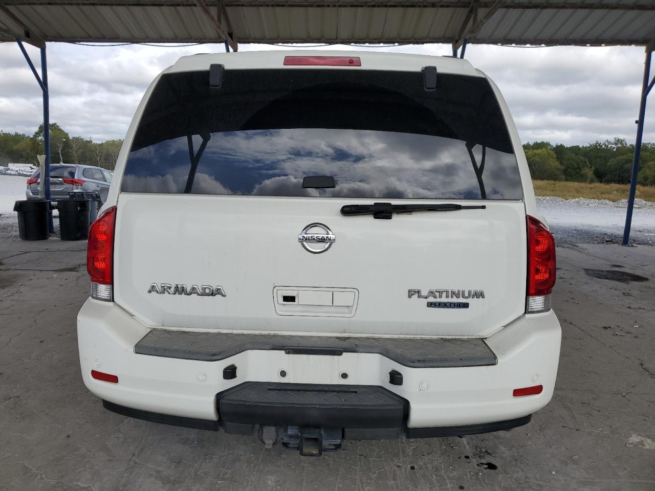 2010 Nissan Armada Platinum VIN: 5N1BA0NF5AN619664 Lot: 85263065