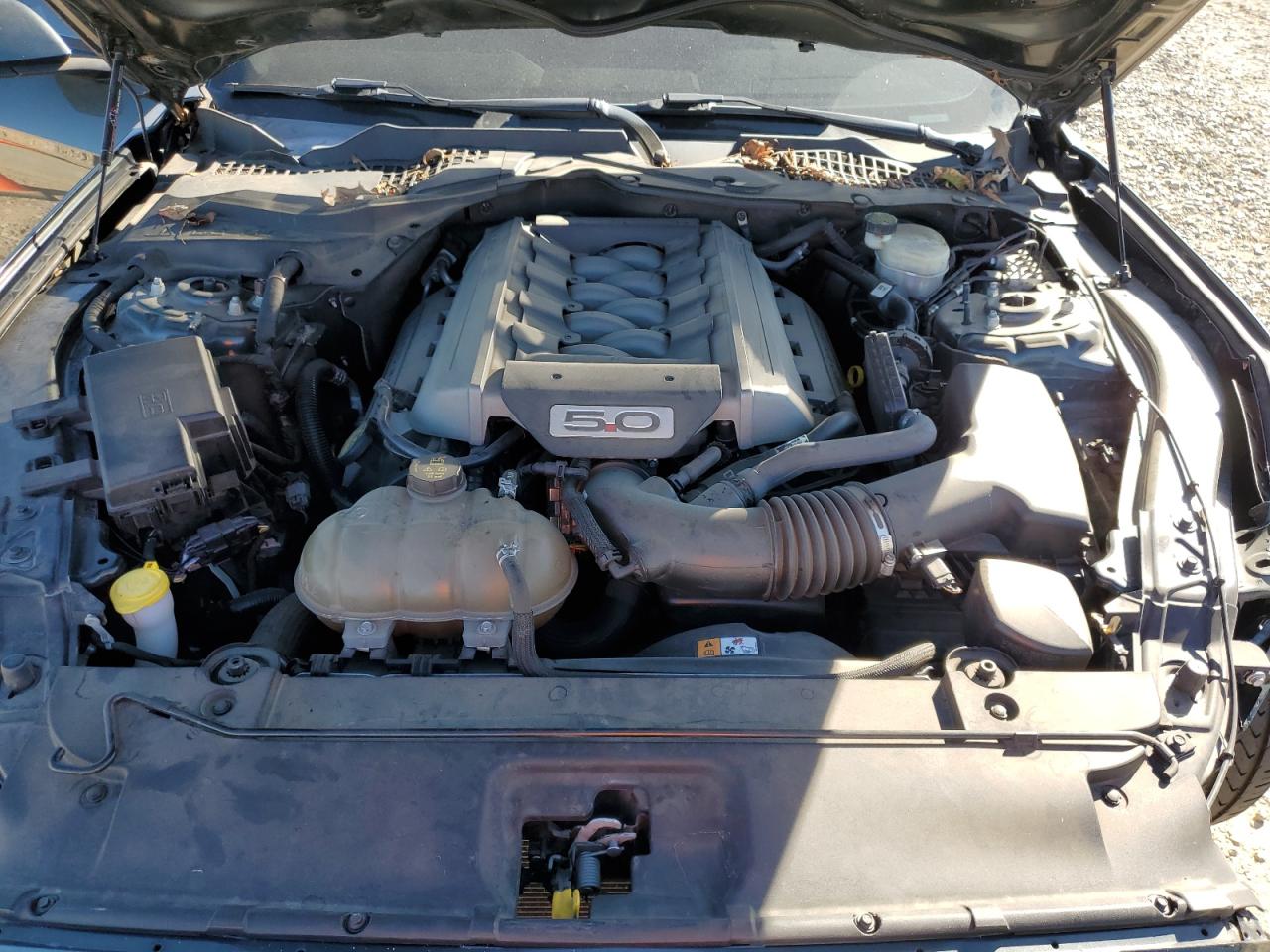 2015 Ford Mustang Gt VIN: 1FA6P8CF7F5385031 Lot: 89496135