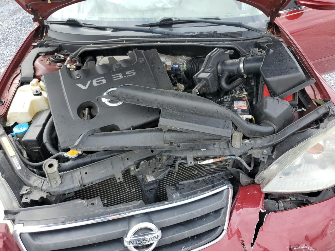 2003 Nissan Altima Se VIN: 1N4BL11D43C254682 Lot: 82203815