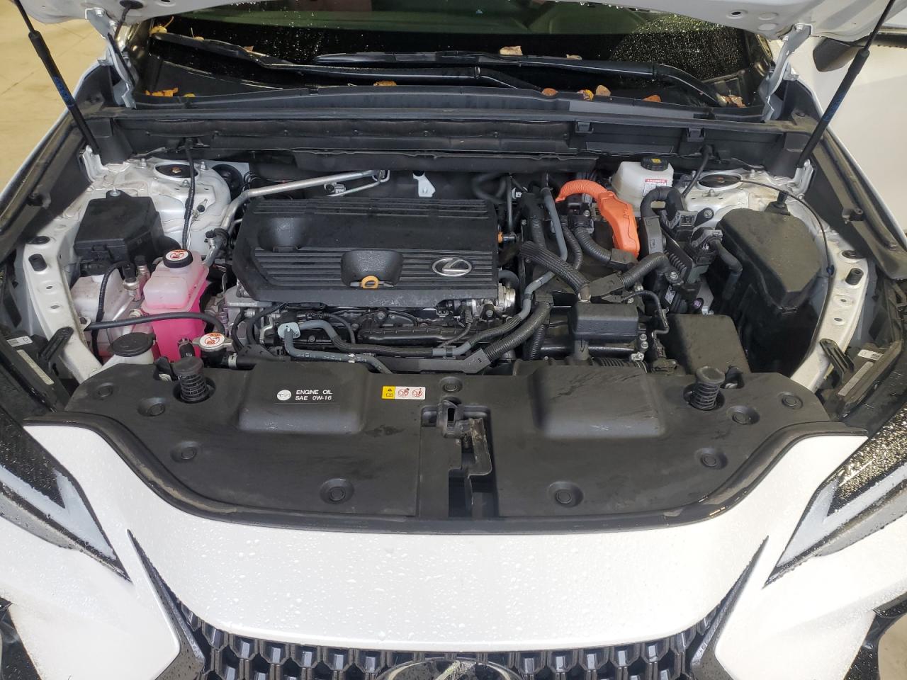 2023 Lexus Nx 350H VIN: 2T2GKCEZ4PC012004 Lot: 89620745