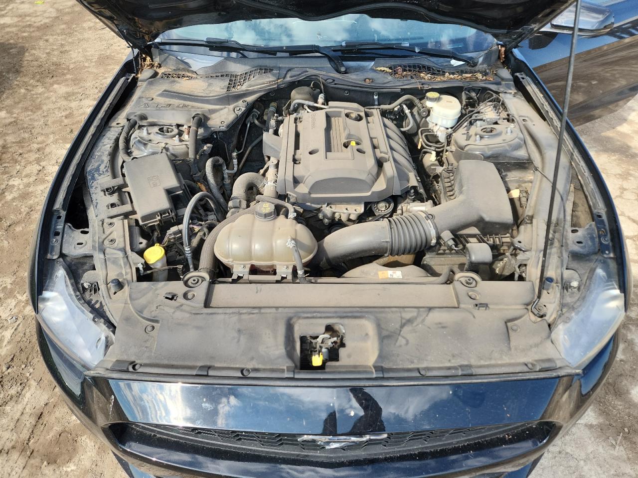 2016 Ford Mustang VIN: 1FA6P8TH0G5246099 Lot: 84887215