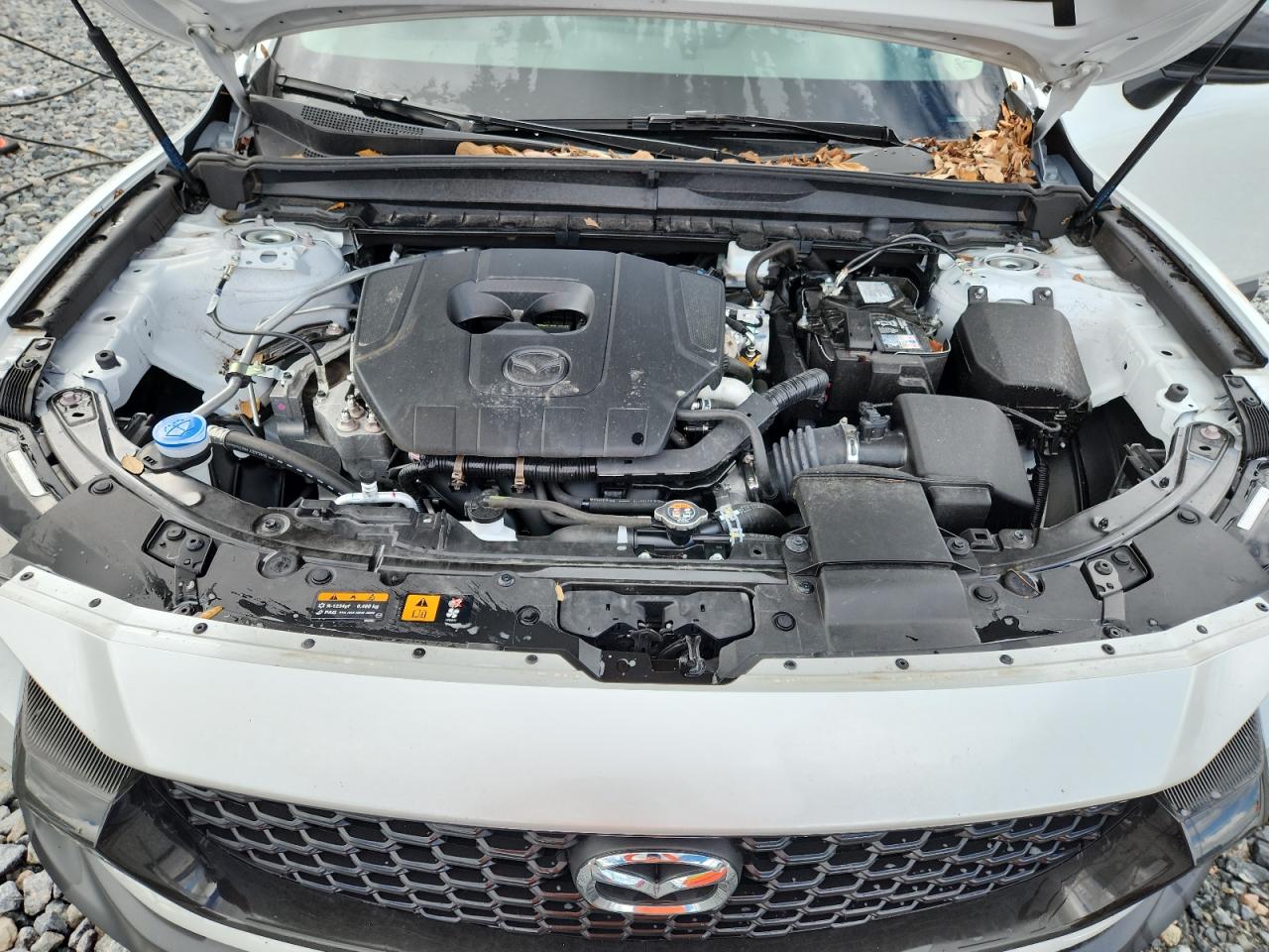 2025 Mazda Cx-50 Preferred VIN: 7MMVABBM4SN319390 Lot: 85579995