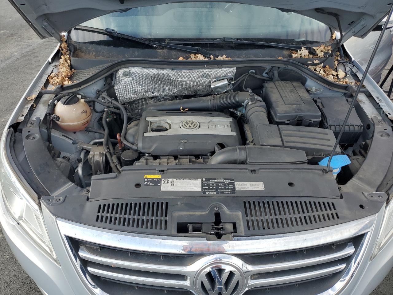 2011 Volkswagen Tiguan S VIN: WVGAV7AX7BW557154 Lot: 87455645