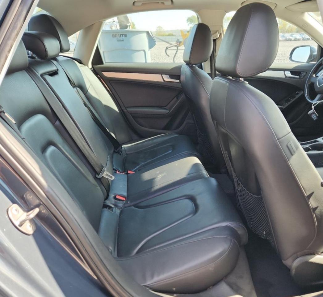 2011 Audi A4 Premium Plus VIN: WAUFFAFL2BN036033 Lot: 85411015