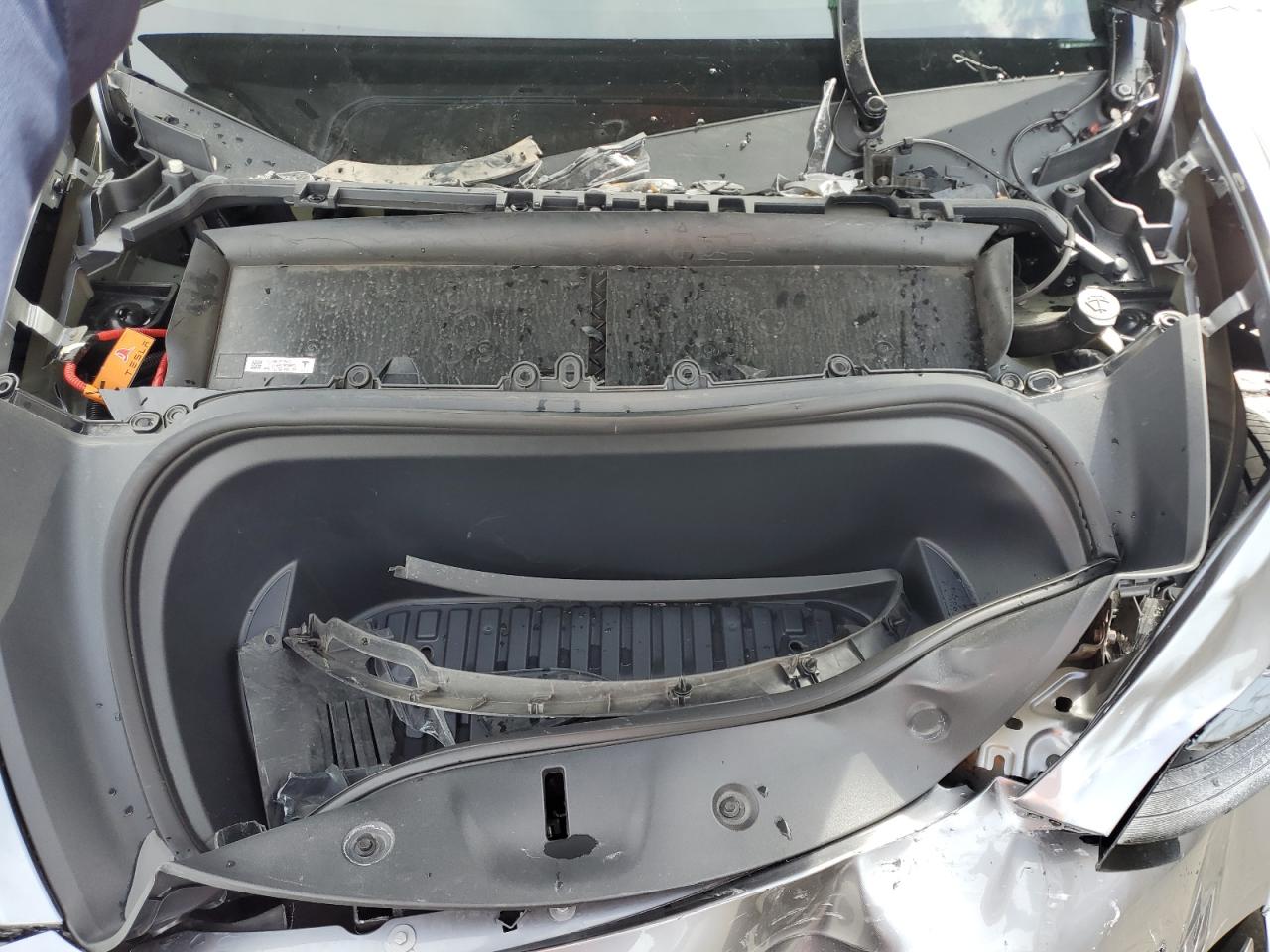 2024 Tesla Model Y VIN: 7SAYGAEE4RF154723 Lot: 81998125