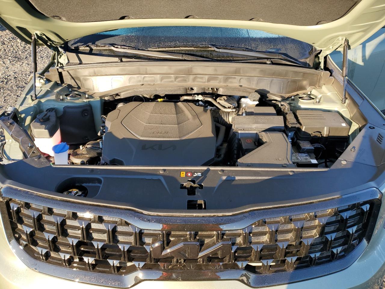 2025 Kia Telluride Ex VIN: 5XYP3DGC9SG629170 Lot: 87277865