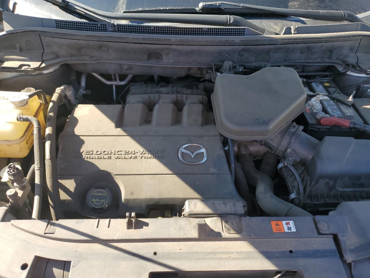 2009 Mazda Cx-9 VIN: JM3TB38V390178160 Lot: 86471615