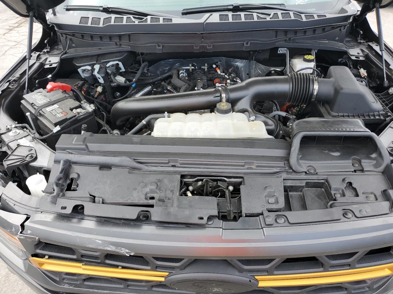 2024 Ford F150 Tremor VIN: 1FTFW4L88RFB10564 Lot: 85590415