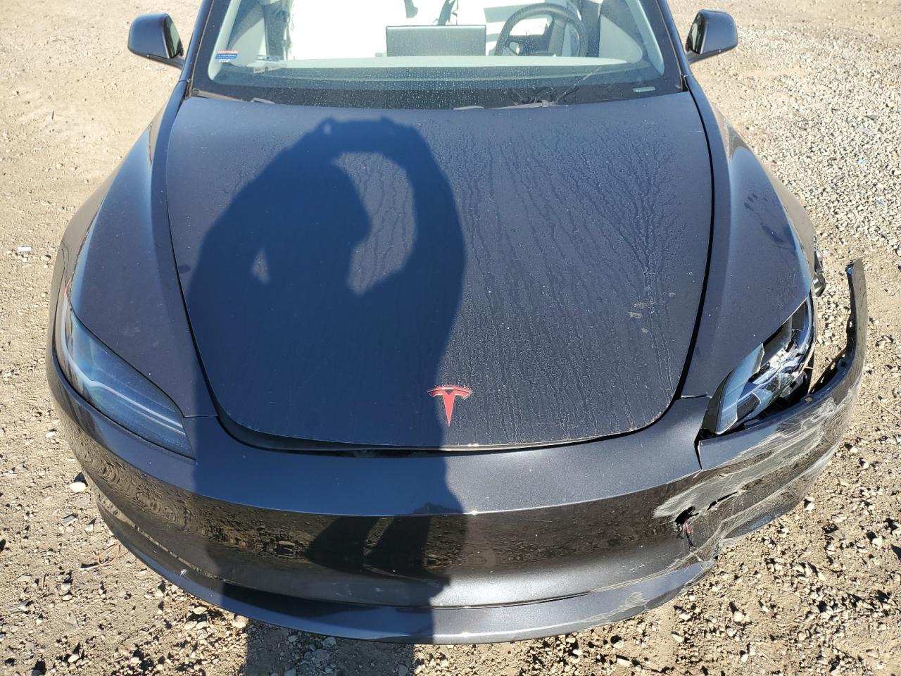 2024 Tesla Model 3 VIN: 5YJ3E1EB2RF811005 Lot: 82544145