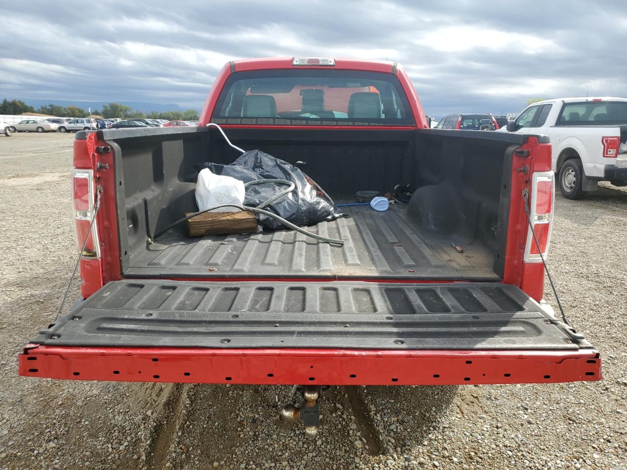 2013 Ford F150 VIN: 1FTMF1CFXDKD48582 Lot: 81919855