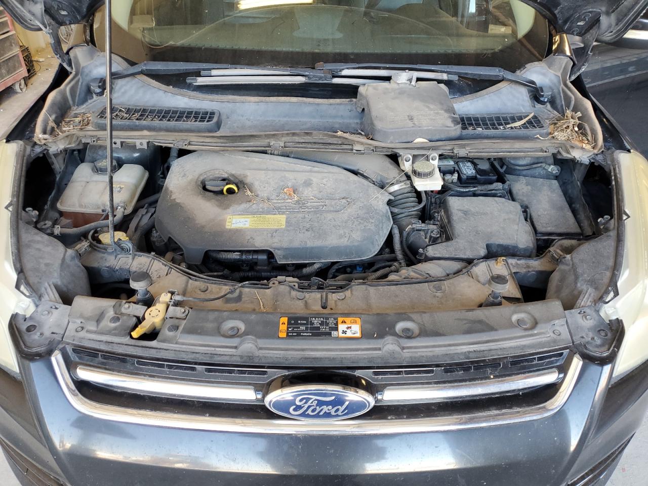 2013 Ford Escape Sel VIN: 1FMCU0HX4DUC85718 Lot: 82600975