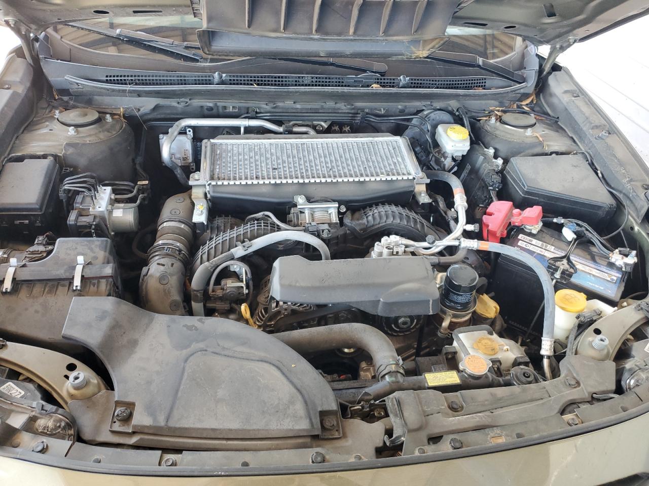 2023 Subaru Outback Wilderness VIN: 4S4BTGUD9P3113262 Lot: 82224775