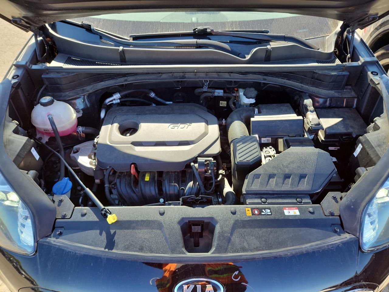 2022 Kia Sportage Lx VIN: KNDPMCAC7N7993511 Lot: 84803105