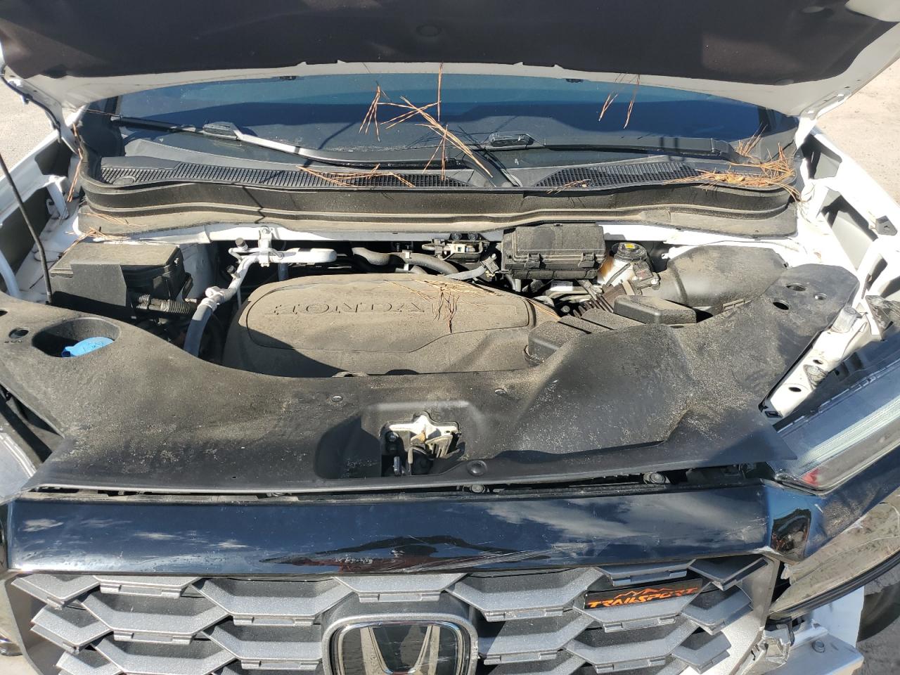 2023 Honda Passport Trail Sport VIN: 5FNYF8H68PB012918 Lot: 84971805