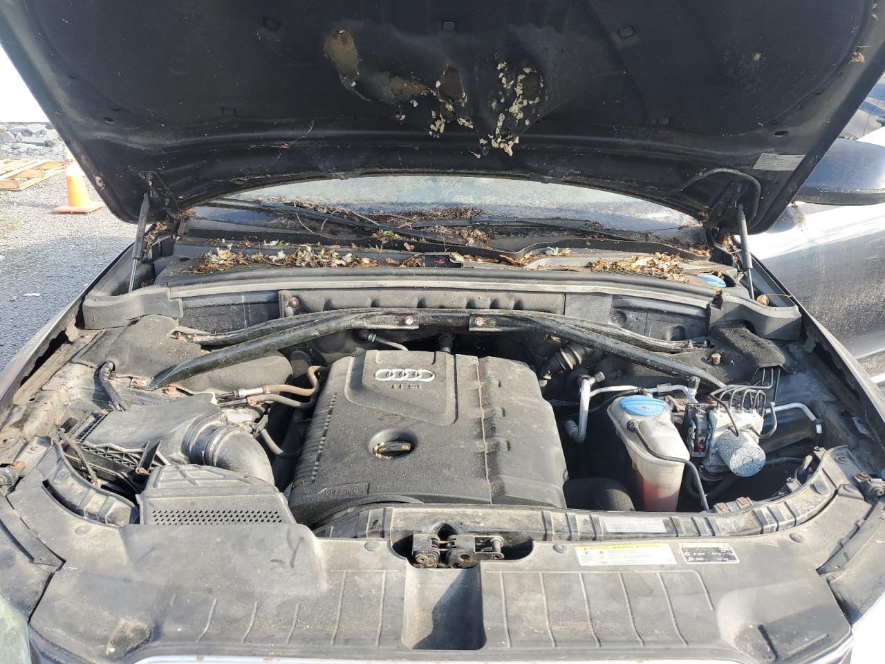 2013 Audi Q5 Premium Plus VIN: WA1LFAFP1DA005904 Lot: 82310105