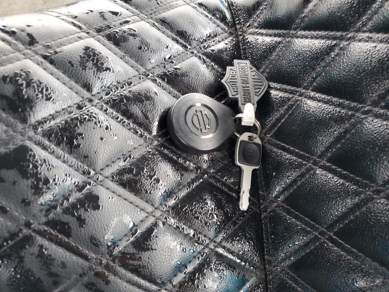 2021 Harley-Davidson Fxlrs VIN: 1HD1YWK22MB039051 Lot: 90740735