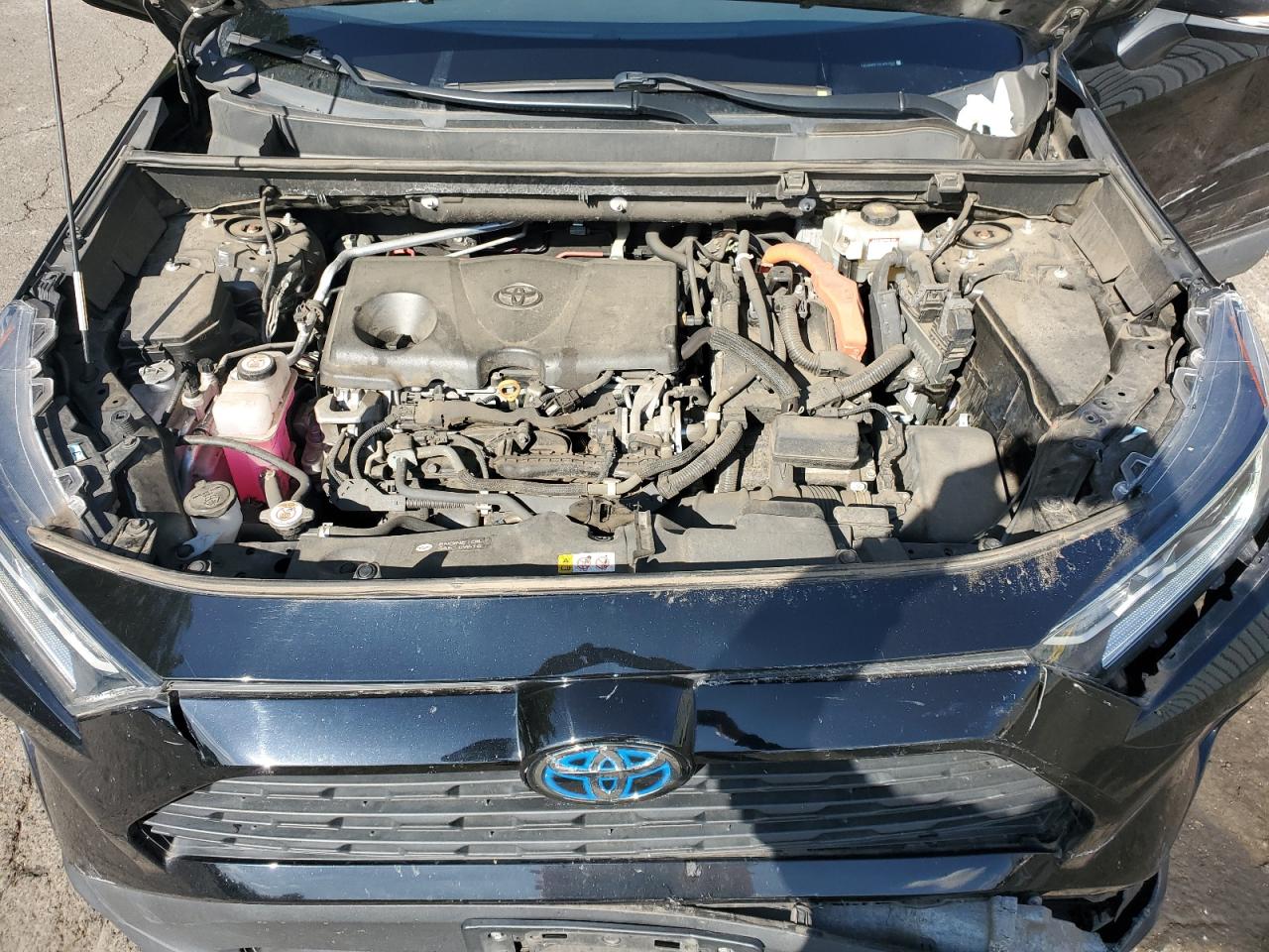 2020 Toyota Rav4 Xle VIN: 2T3RWRFV9LW092805 Lot: 85175475